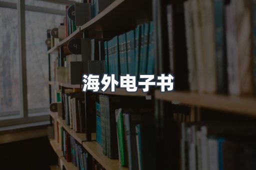 海外电子书